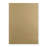 450x324 mm (C3) Busta avana