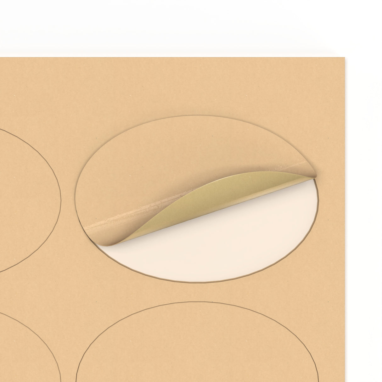 Etichette adesive ovale