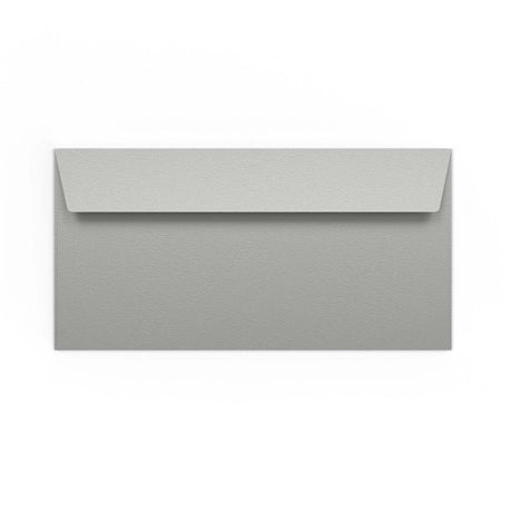 110x220 mm (DL) Busta Gamma Argento
